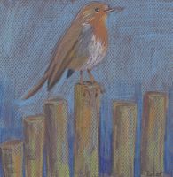 The Robin